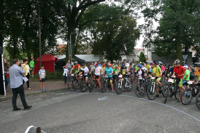 Oleszka 2017