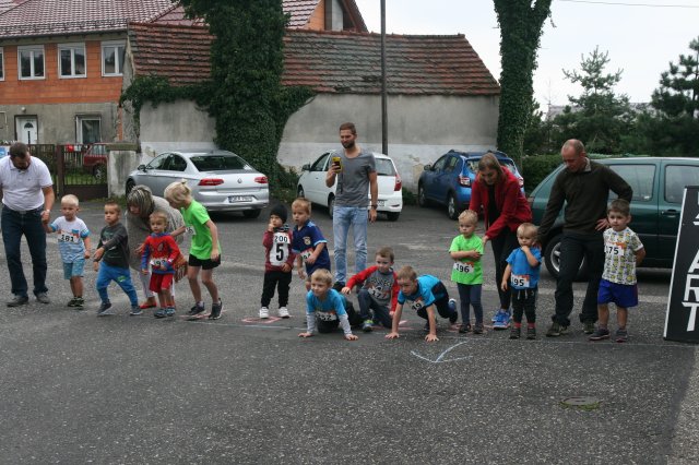 Oleszka 2017