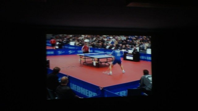 Tenis stołowy