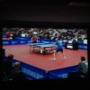 Tenis stołowy