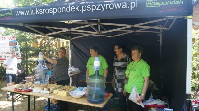 Zyrowik