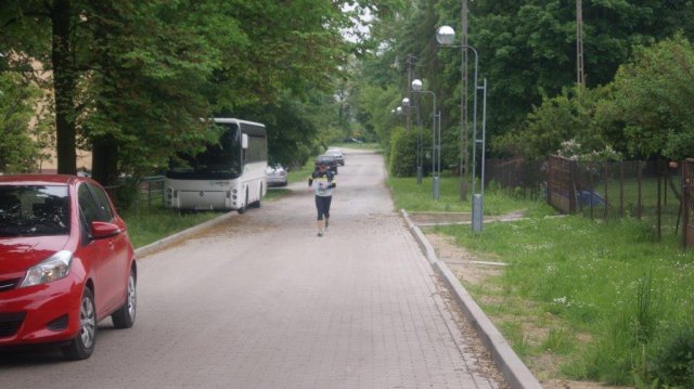 Zyrowik