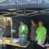 Zyrowik